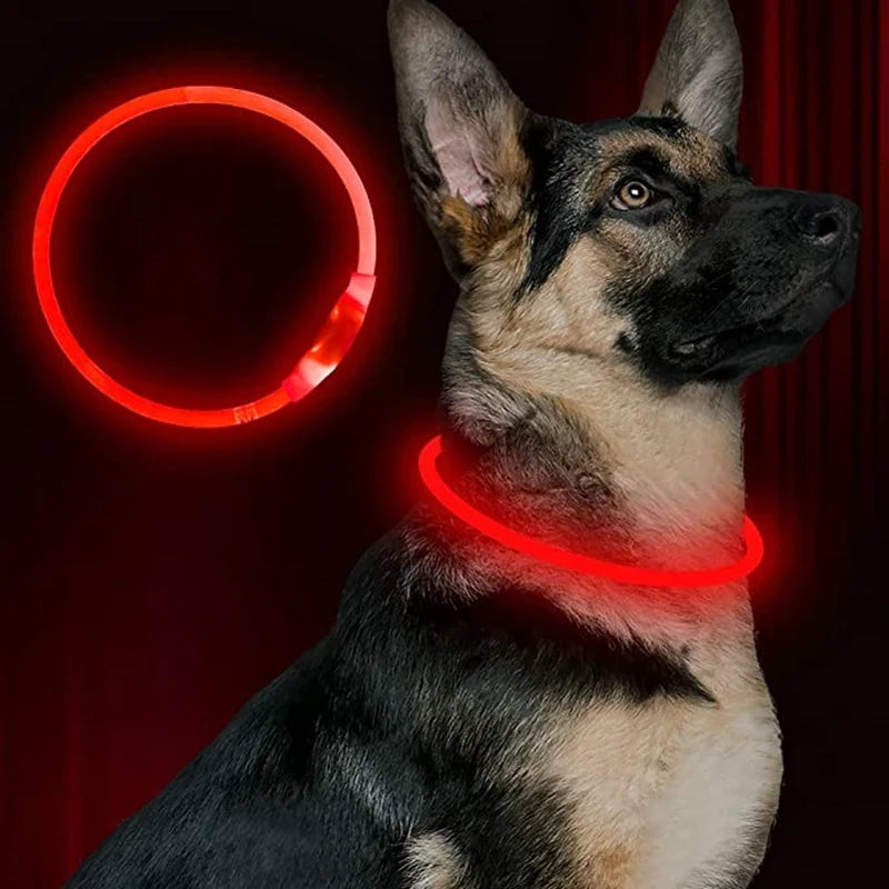 USB Rechargeable LED Dog Collar