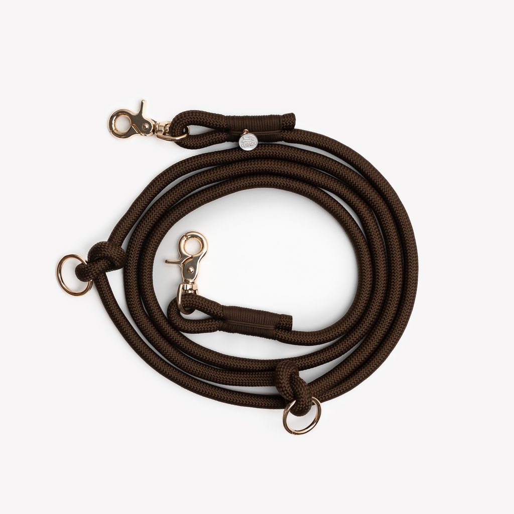 Hands-Free Braided Dog Leash