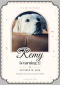 Custom dog birthday announcement card front with a golden retriever photo, name and birthday