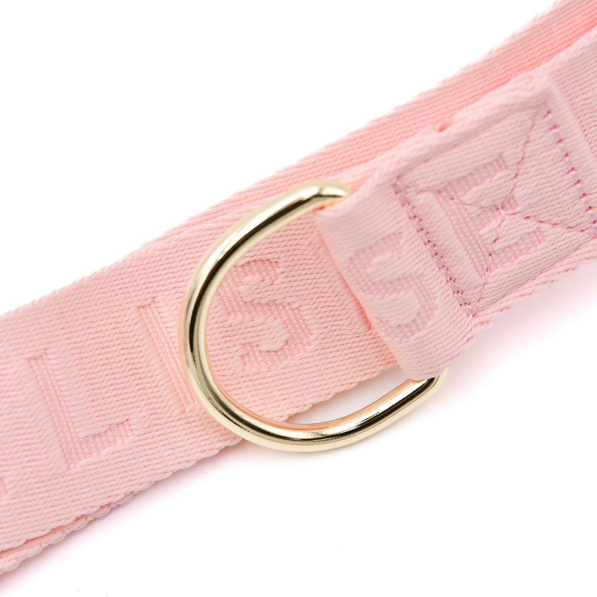 Rose Dog Walking Crossbody Bag