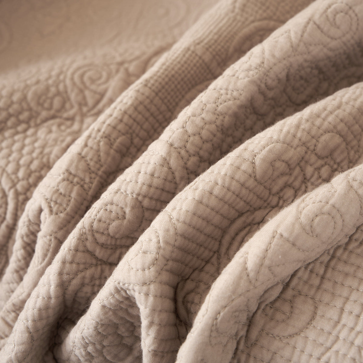 Neutral Fringed Cotton Throw Blanket