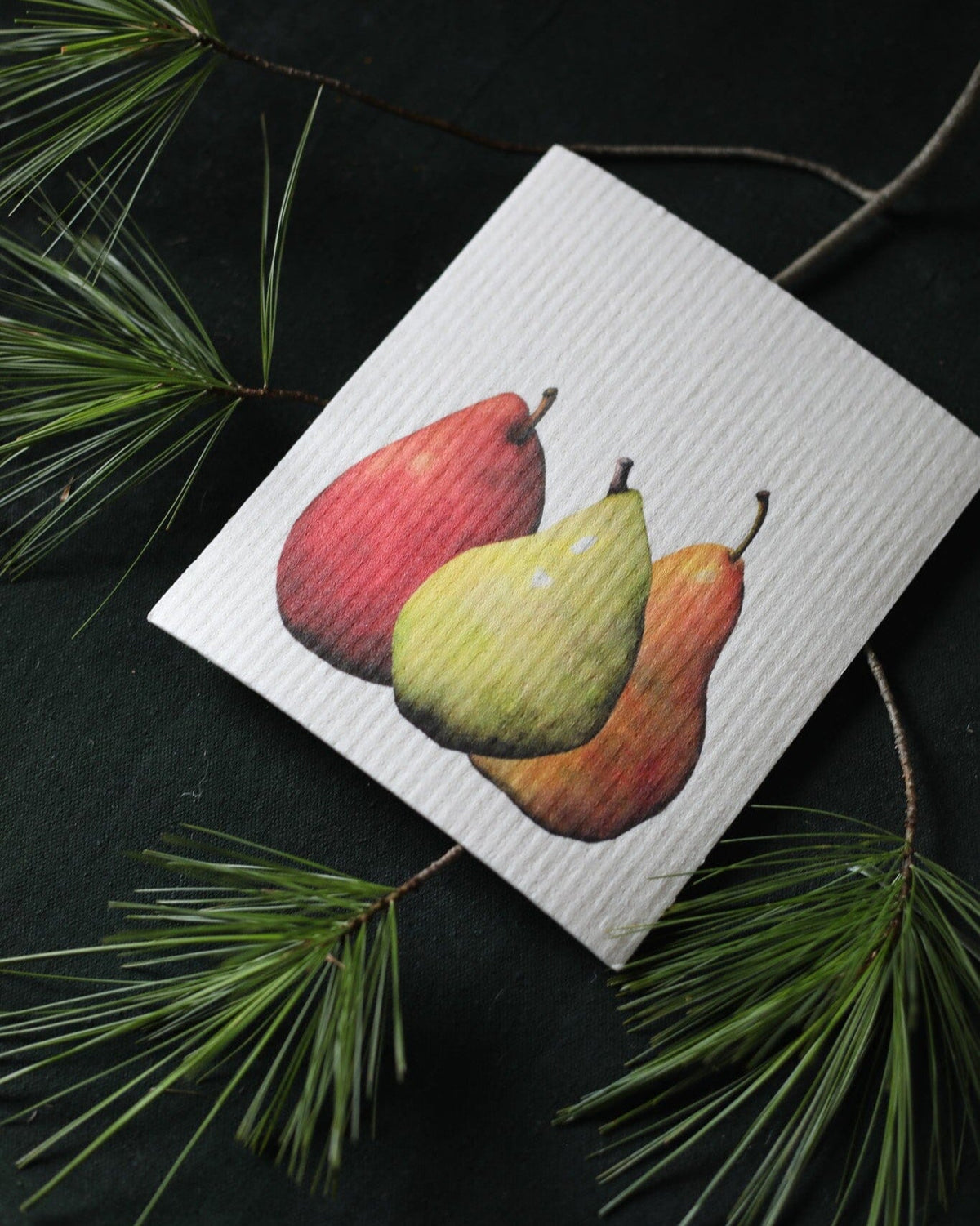 Botanical Swedish Dishcloth Gift Set