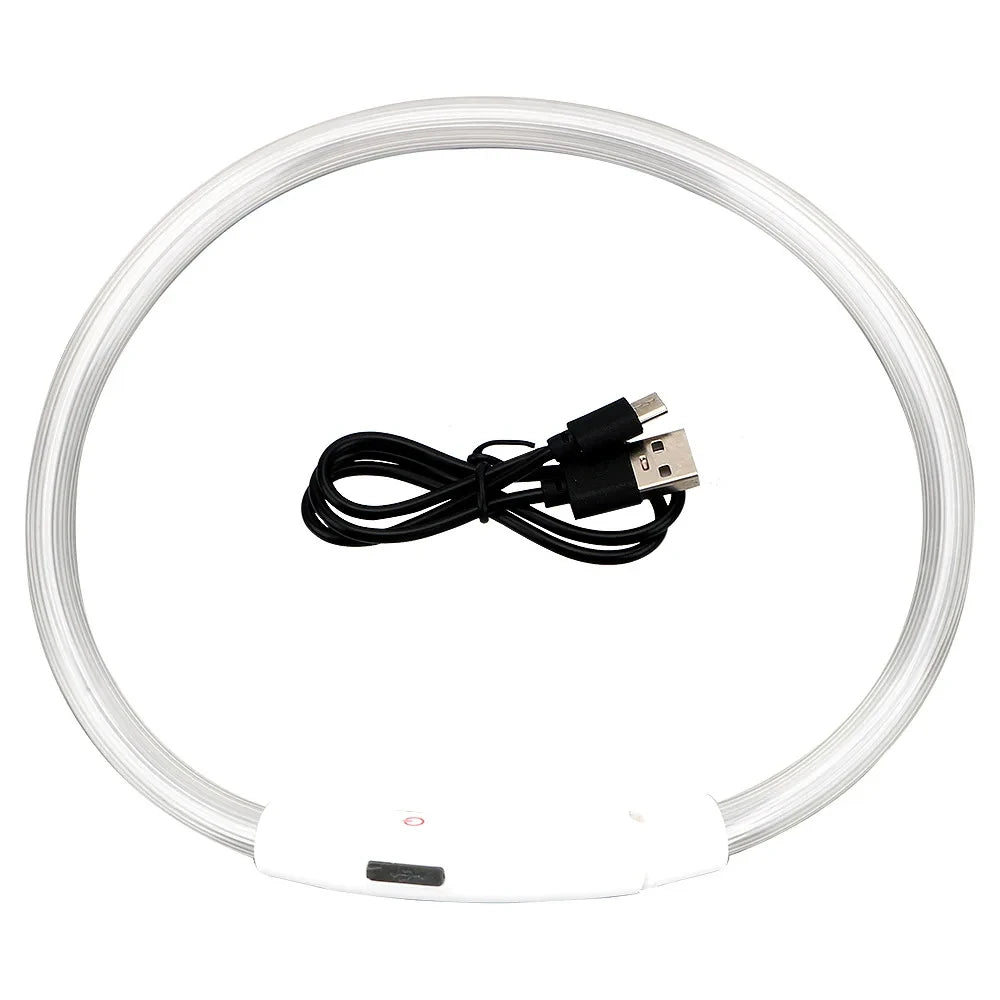 USB Rechargeable LED Dog Collar
